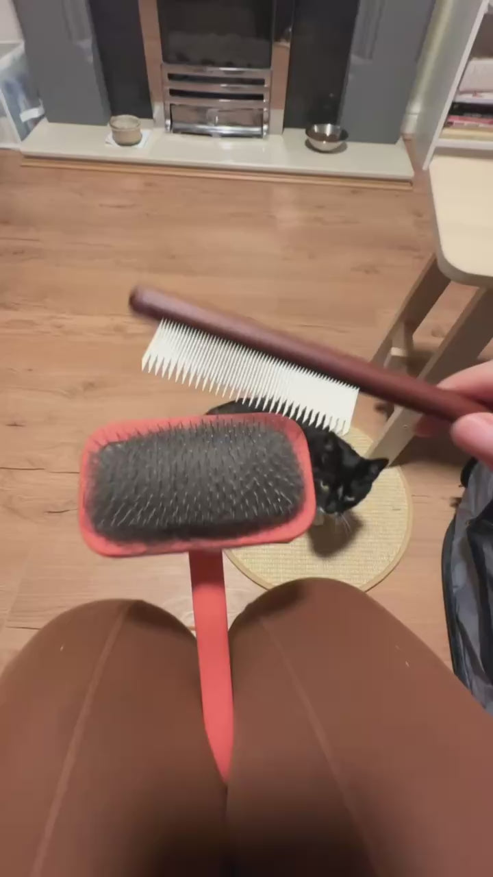 2026 Freshing-Up Bundle