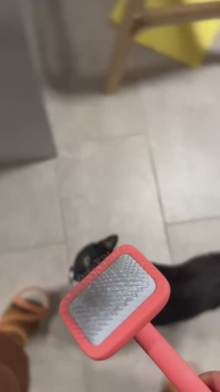 2026 Freshing-Up Bundle